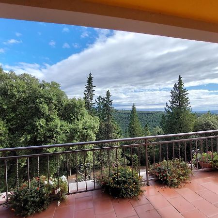Casa Bruna - Cipresseta Del Chianti カステッリーナ・イン・キアンティ シエナ エクステリア 写真